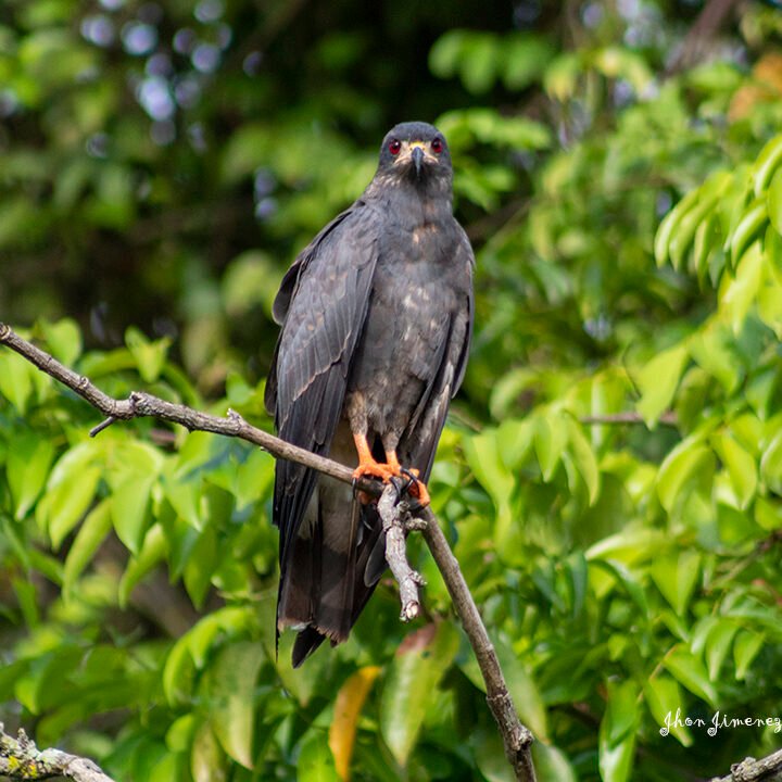 Experiencias mg 2891 copia